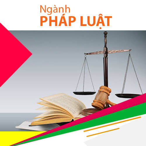 17 Pháp luật
