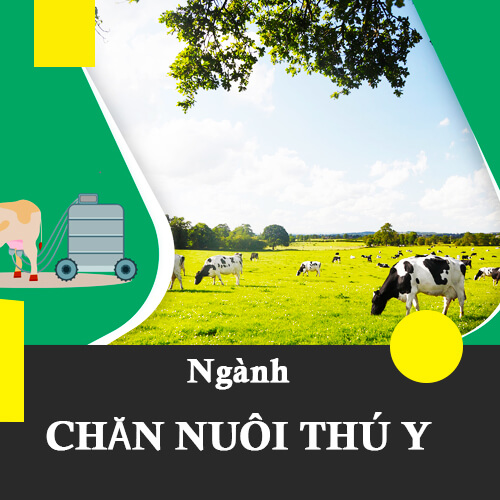 Hệ trung cấp ngành Chăn nuôi – Thú y