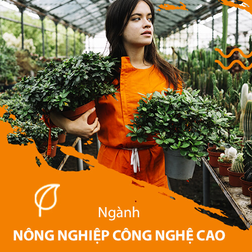 Hệ trung cấp ngành Nông nghiệp công nghệ cao
